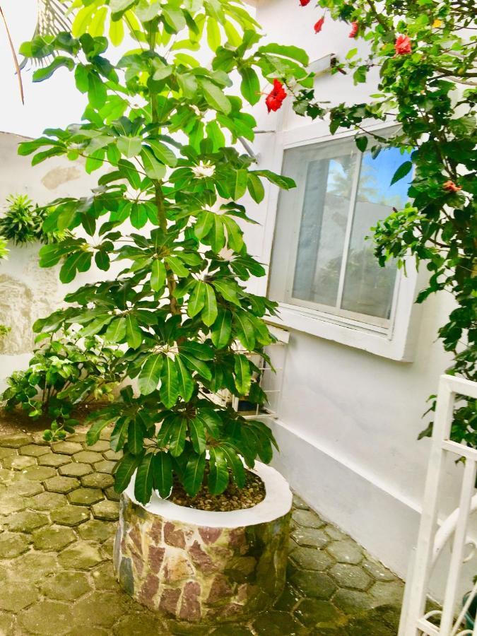 Residence Archange Πουάντ-Νουάρ Εξωτερικό φωτογραφία